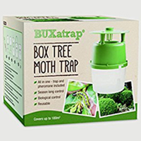 BUXatrap Box Tree Moth Trap Buxus Care Topbuxus Products Health Mix - Grow - Carpet - Box hedge plants (Buxus sempervirens) - Wholesale Topiary hedging nursery based in Hampshire, we supply all aspects of hedging including box hedging within West Sussex Hampshire Surrey Dorset New Forest Greater London Wiltshire areas.