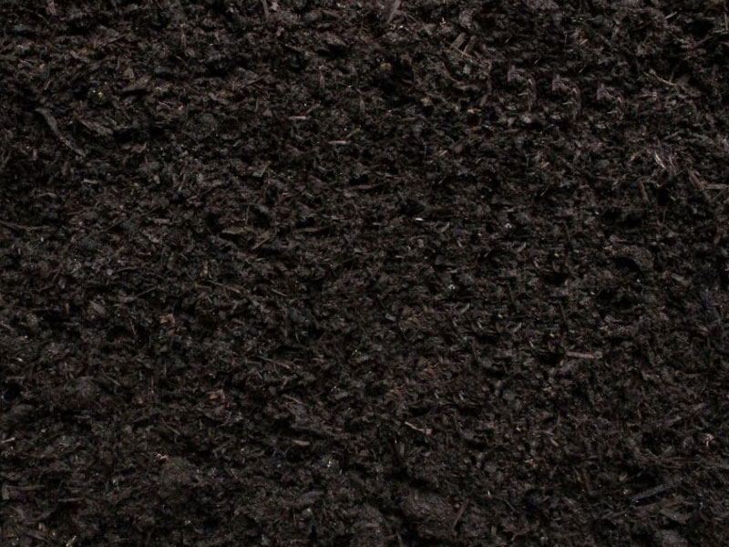 Mushroom Compost - We can supply Composts, plants & all aspects of hedging including box hedging within the Chichester Winchester Tangmere Bognor Portsmouth Bournemouth Guildford Andover Southampton Brighton West Sussex Hampshire Surrey Dorset New Forest Greater London Wiltshire areas