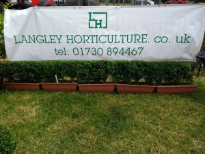 Wests Wood Fair 2018 Horticulture Services and Wholesale Nursery - Specialising in Supplying box Hedging Buxus sempervirens Hampshire Surrey West Sussex