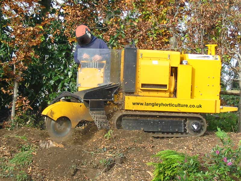 Stump Removal Stump Grinding Godalming Chiddingfold Northchapel Haslemere Hindhead Hindhead Bordon Selborne Petersfield Liss & Liss Forest