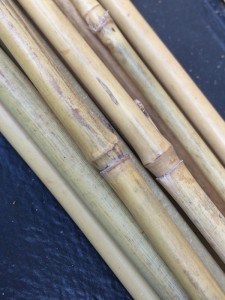 Bamboo Canes Box hedge plants - Wholesale Topiary hedging nursery based in Hampshire, we supply all aspects of hedging including box hedging within the Chichester Portsmouth Bournemouth Guildford Andover Southampton West Sussex Hampshire Surrey Dorset New Forest Greater London Wiltshire areas