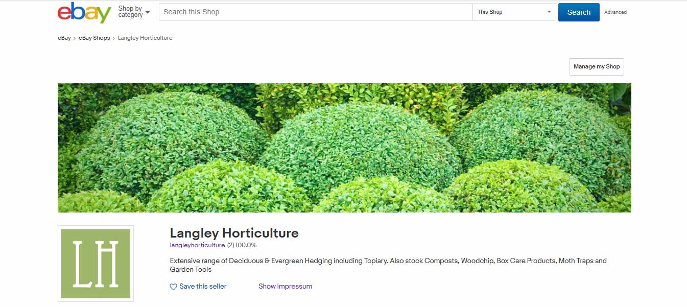 Langley Horticulture Selling on eBay Buxus sempervirens Box hedge plants - Wholesale Topiary Hampshire box hedging West Sussex Hampshire Surrey